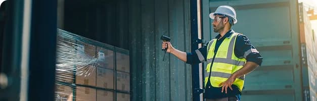 Pre-shipment inspection with sector-specific criteria